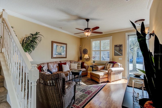 living room with ceiling fan, crown molding, wood-type flooring, and a textured ceiling