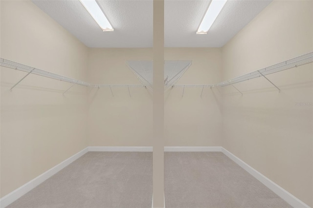 spacious closet with light carpet