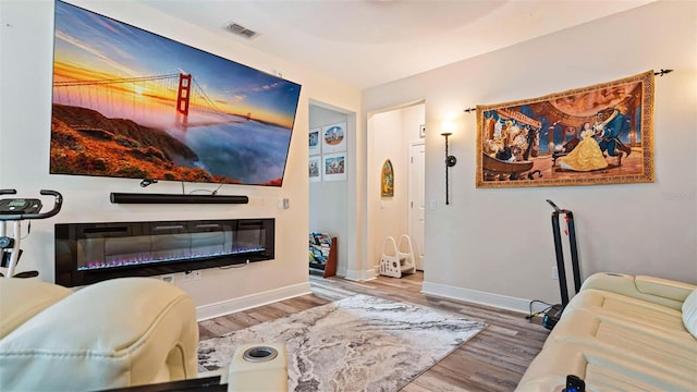 living room featuring wood-type flooring