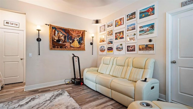 living room featuring hardwood / wood-style flooring