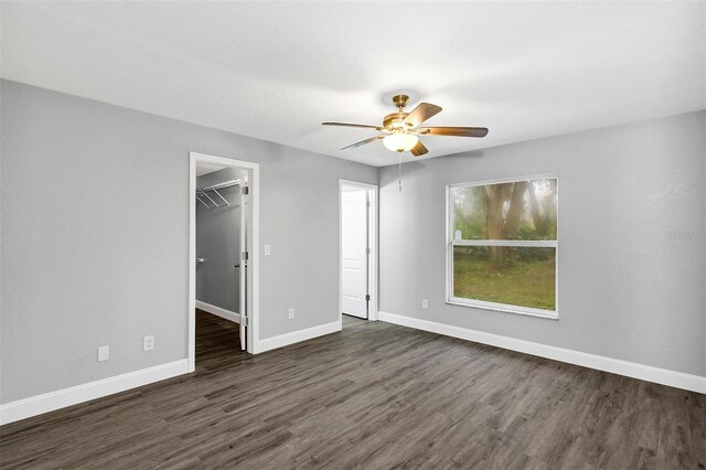 unfurnished bedroom with a closet, a walk in closet, dark hardwood / wood-style floors, and ceiling fan