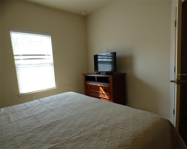 bedroom with multiple windows