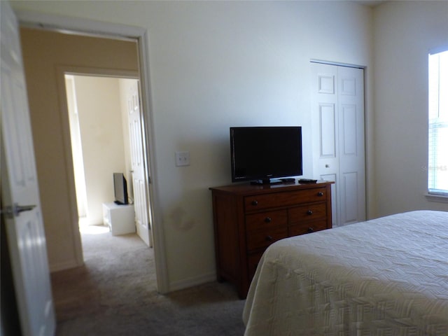 bedroom with carpet