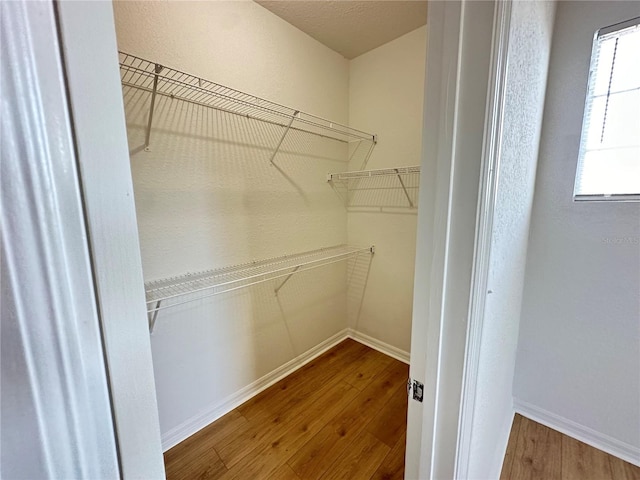 walk in closet with hardwood / wood-style floors