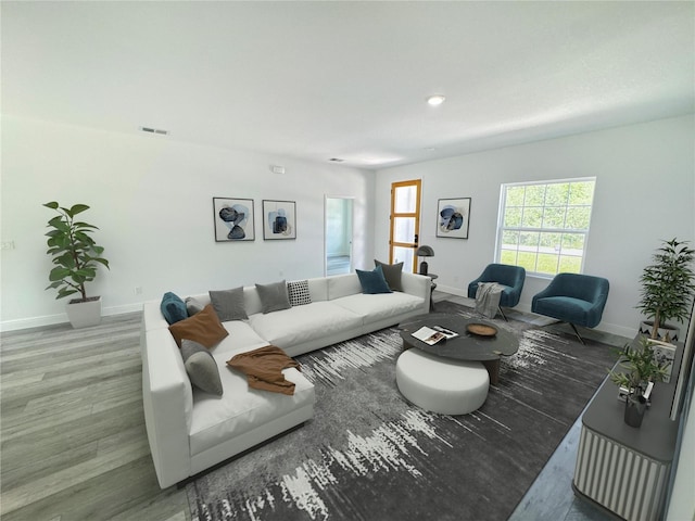 living room featuring hardwood / wood-style floors