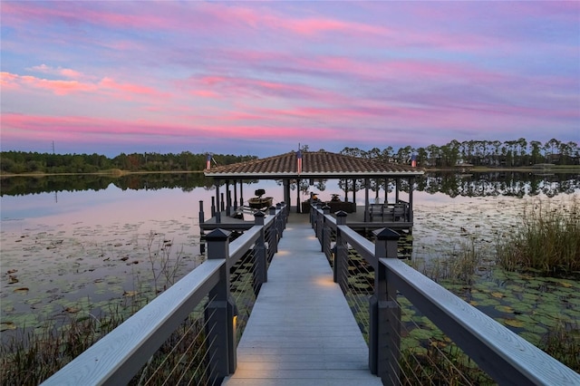 dock area with a water view