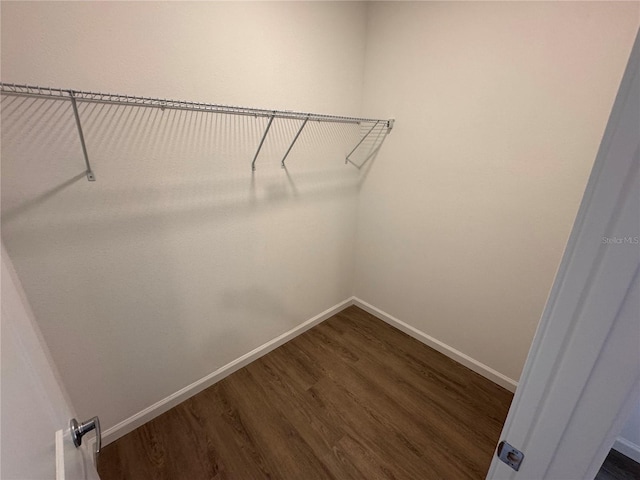 walk in closet featuring dark wood finished floors