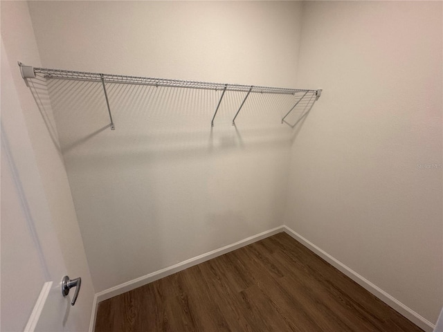 walk in closet with dark wood-style flooring