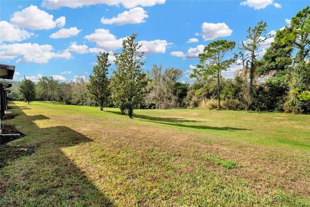 view of yard