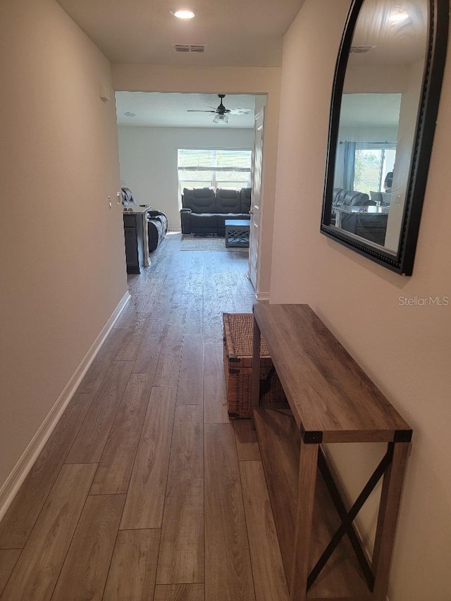 hall featuring a healthy amount of sunlight and hardwood / wood-style floors