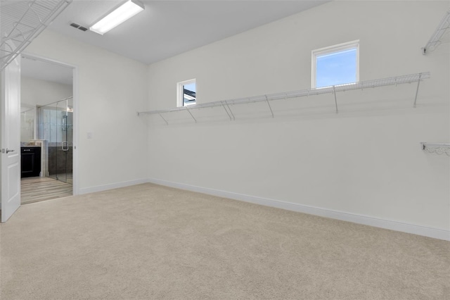 spacious closet with carpet flooring