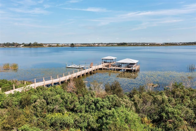 dock area featuring a water view