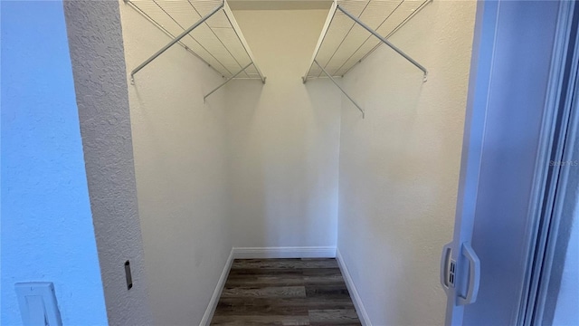 walk in closet with dark wood-type flooring