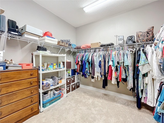 spacious closet with carpet flooring