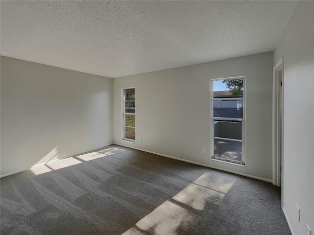 empty room featuring carpet floors and a textured ceiling