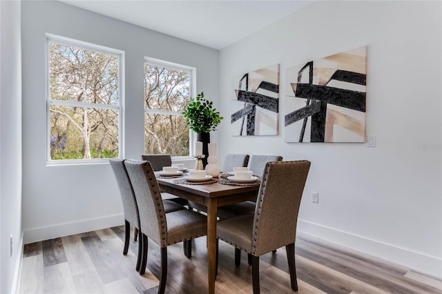 dining space featuring a wealth of natural light and hardwood / wood-style floors