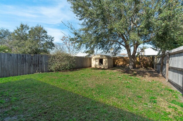 view of yard featuring a shed