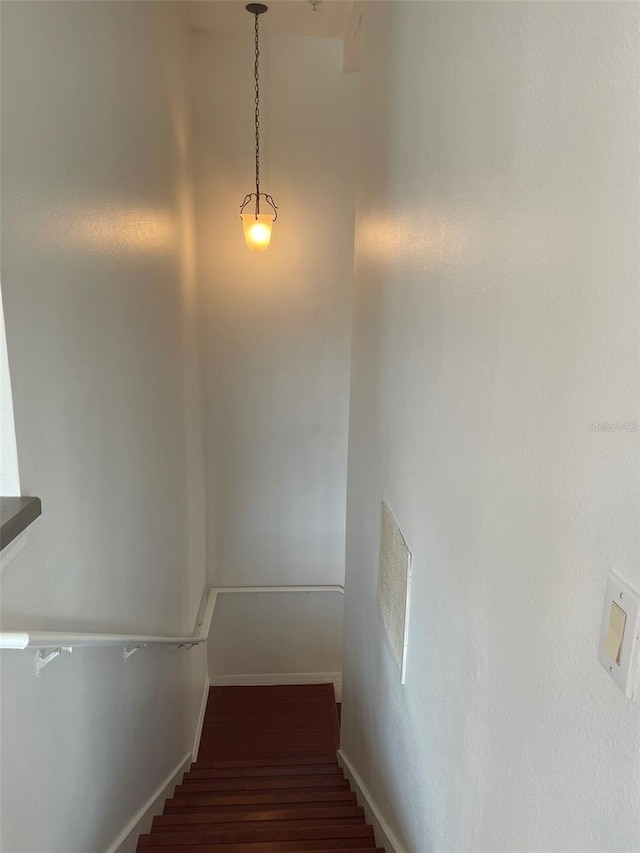 staircase featuring wood-type flooring