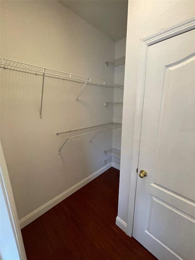 walk in closet featuring dark hardwood / wood-style flooring