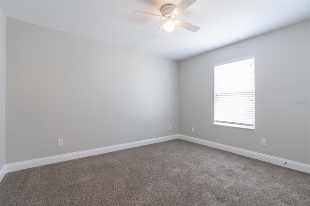 spare room featuring ceiling fan and carpet flooring