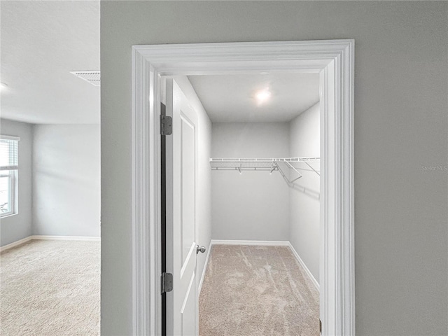 spacious closet featuring light colored carpet