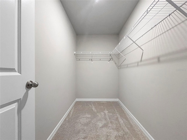 spacious closet with carpet floors