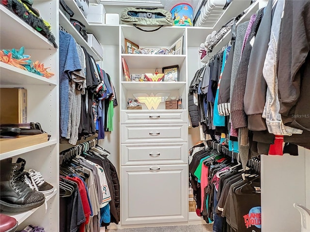 view of walk in closet