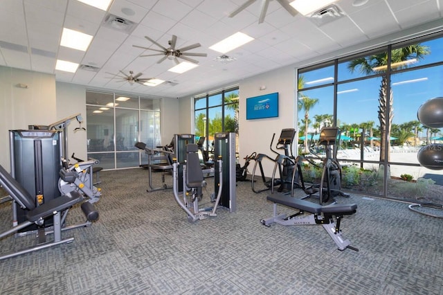 gym featuring ceiling fan, a drop ceiling, and a wall of windows