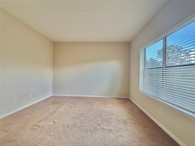 spare room featuring light carpet