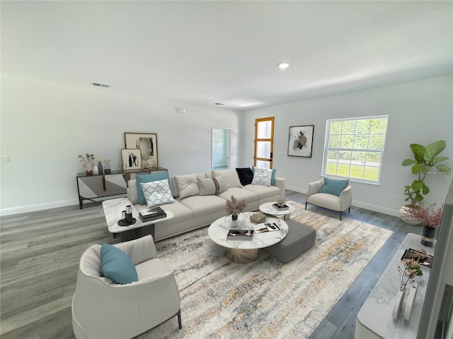 living room with wood-type flooring