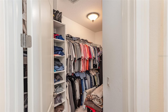 view of walk in closet