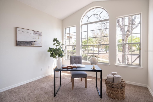 carpeted office space featuring vaulted ceiling and a wealth of natural light