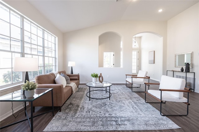 living room featuring dark wood-type flooring and lofted ceiling