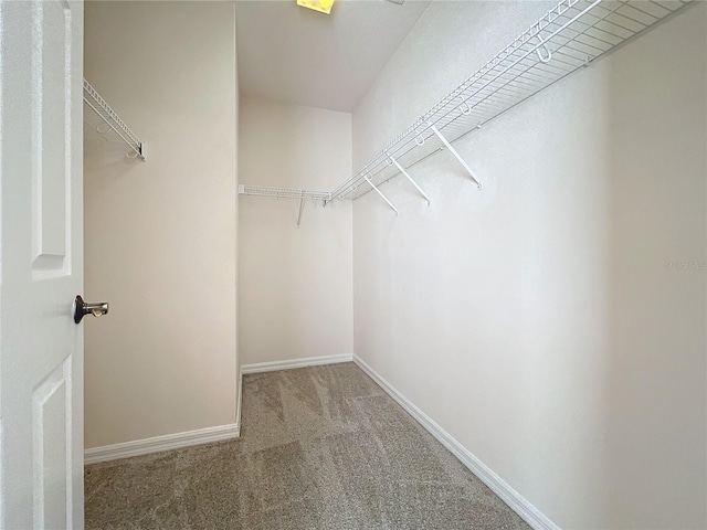 411 Old Farm Ln, Winter Springs, FL 32708 - spacious closet featuring carpet