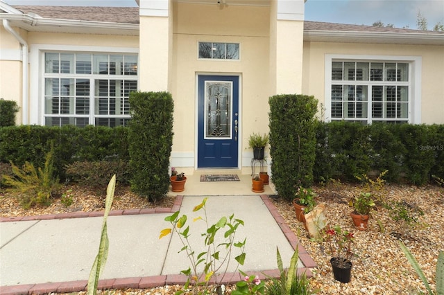 entrance to property with roof with shingles and stucco siding