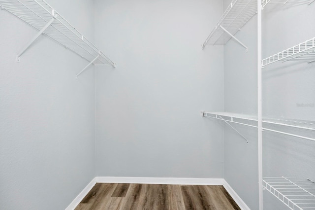 walk in closet with wood-type flooring