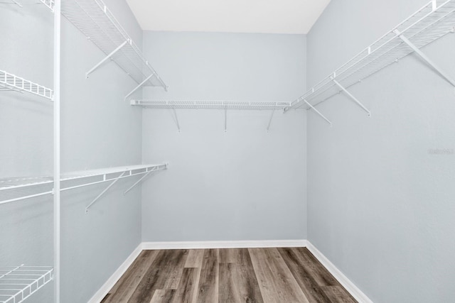 walk in closet featuring hardwood / wood-style floors