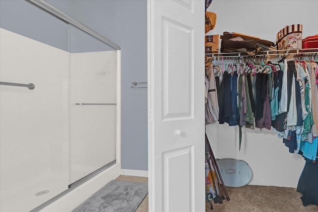 bathroom featuring a shower with door