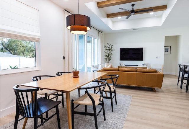 dining area featuring ceiling fan, beamed ceiling, and light wood-type flooring