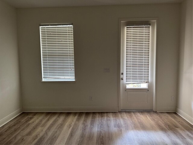 2205 W Lobelia Dr, Lake Mary, FL 32746 - photo 11