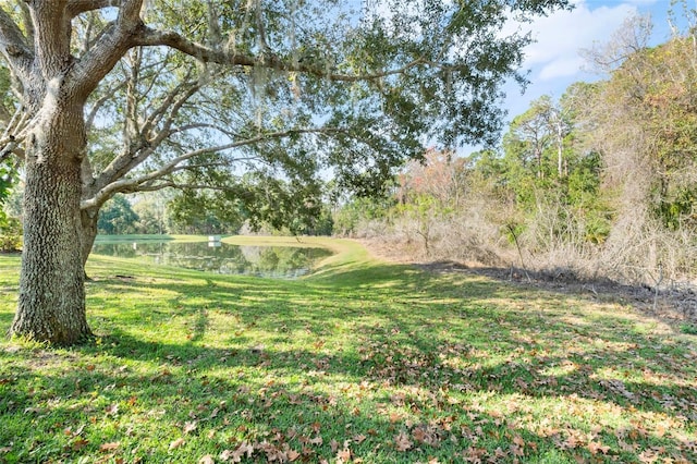 view of yard with a water view