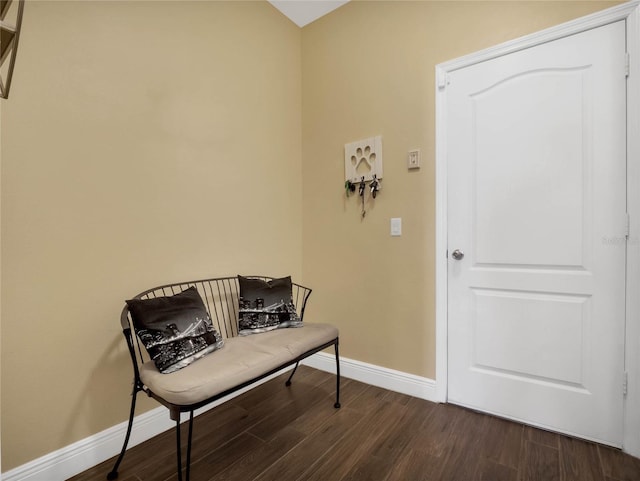 living area featuring dark wood-type flooring