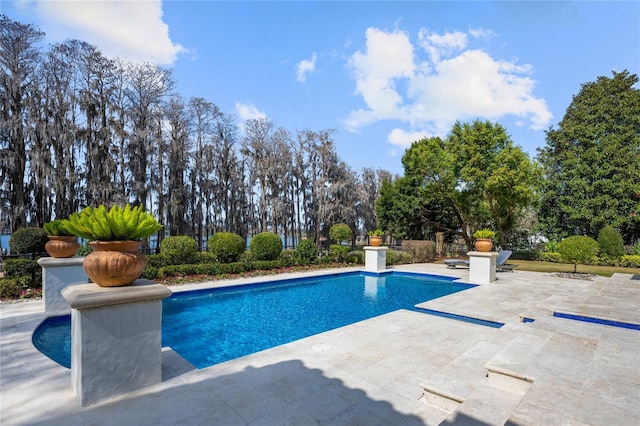 view of pool with a patio area