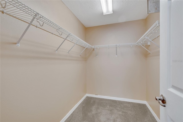 1515 Angler Ave, Kissimmee, FL 34746 - spacious closet with carpet