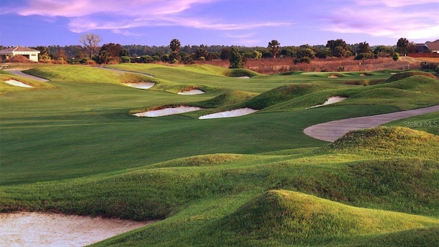 view of community featuring a yard and view of golf course