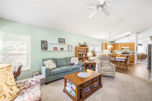 living area featuring a healthy amount of sunlight, vaulted ceiling, and a textured ceiling