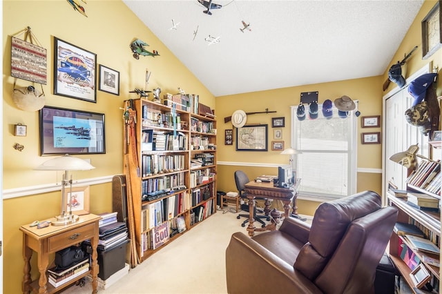 living area featuring lofted ceiling, a textured ceiling, and carpet