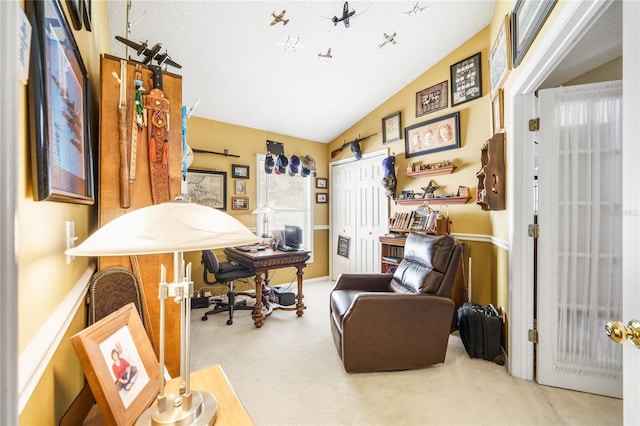 office space featuring vaulted ceiling and carpet flooring