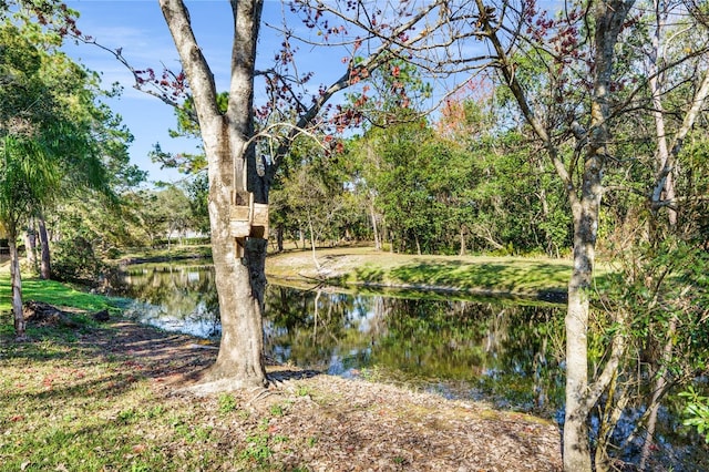 property view of water