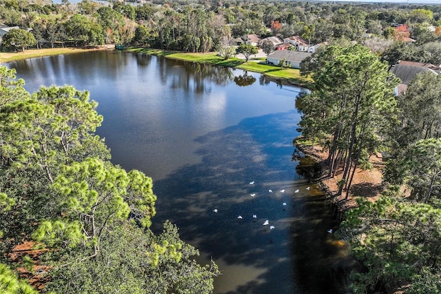 property view of water with a forest view